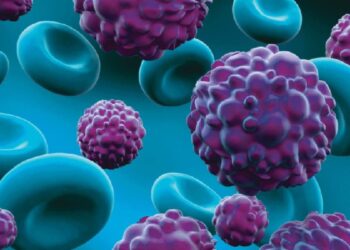 Sot, Dita Botërore Kundër Kancerit