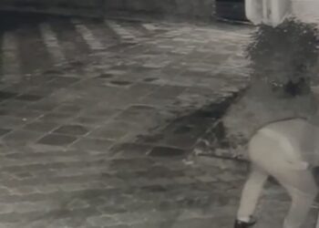 Tritoli në restorantin në Fushë Krujë, arrestohet bashkëpunëtori