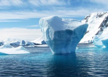 “Akulli global në nivelet më të ulëta”, ekspertët ngrenë alarm