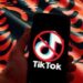Përdoruesi tregon mënyrën për të vazhduar përdorimin e “TikTok” në Shqipëri