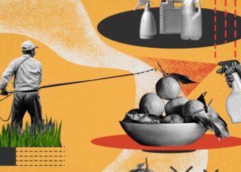 BIRN: Pesticidet kancerogjene të ndalura në Europë tregtohen në Shqipëri