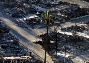 Analiza e DW: A mund ta shpëtojë botën ndryshimi i mentalitetit?