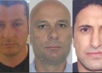 Organizuan vrasjen e Plakut, Apeli lë në fuqi vendimin për 4 të pandehurit