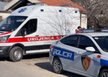 Aksident në aksin Lushnjë–Fier, ndërron jetë një i moshuar