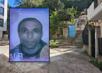 Vrasja në Vlorë, bashkëjetuesja: S’kishte konflikte