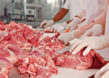 “Brazili, furnizuesi kryesor!”/ Rritet varësia ndaj mishit të importuar