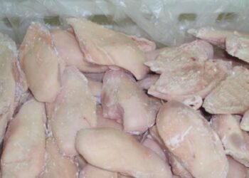 Importoi mish pule me salmonelë, pronari i AMG Food “i shpëton burgut”