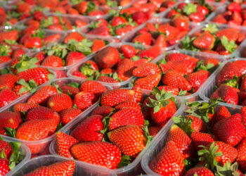 Vitaminat po na kthehen në helm, në treg shiten luleshtrydhe me pesticide