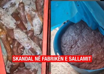 SKANDALOZE në fabrikën e sallamit në Tiranë: Mishi i mykur përpunohet me ngjyrues