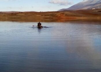 E rëndë në Mirditë! Vetëmbytet në rezervuar 56-vjeçari