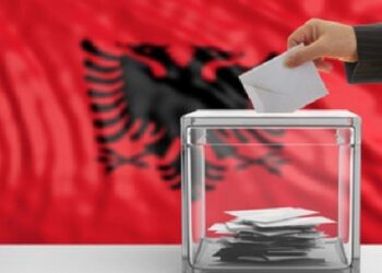 Zgjedhjet e 11 Majit, votuesi: Nëna 101 vjeçe nuk u lejua të votojë
