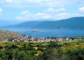 Ja sa vota ka marrë secili kandidat në Bashkinë e Pustecit