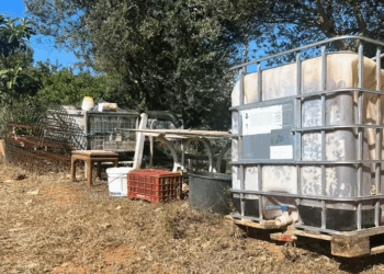 Atentat në Greqi, 41-vjeçari shqiptar ekzekutohet me plumb në kokë