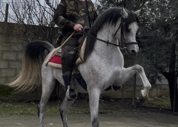 Në kërkim për rrahjen e Vladimir Bruçit, arrestohet në Shkodër Arlind Kajoshi