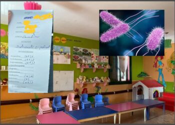 Helmimi në Gramsh, prindi: Janë 14 raste me salmonelë! Pse po e fshehin?