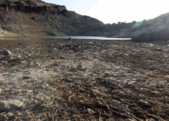 OBM vë alarmin: Temperaturat globale pritet të thyejnë rekordin e nxehtësisë