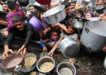 OBSH: Uria në Gaza ka arritur nivele ekstreme