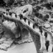 Protokolli që shpëtoi Korçën nga pushtimi grek/ 105 vite nga marrëveshja historike e Kapshticës