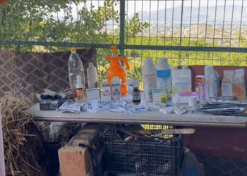 Alarm në Postribë, bagëtitë e imëta të infektuara, vendoset në karantinë një fermë