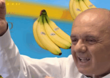 Investigimi: Bizneset shqiptare në trafikun e kokainës nga Ekuadori, në krye “Bana King”