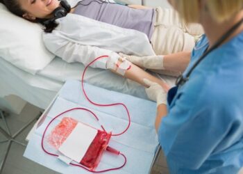 14 Qershori, Dita Botërore e Dhurimit të Gjakut