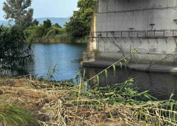 Aventura në lumë që u kthye në tragjedi, prindërit e 12-vjeçarit shqiptar vendosën të shpëtojnë jetë të tjera fëmijësh