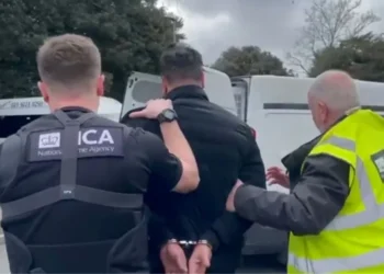 Arrestohet në Londër një i afërm i Laert Haxhiut,  i dyshuar për porositjen e një vrasjeje në Peqin