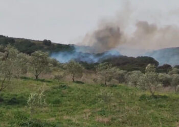 Zjarri në Himarë ende aktiv, rreth 650 hektarë të djegura nga flakët