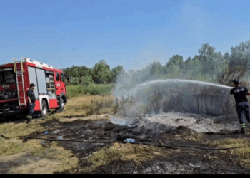 Përfshihet nga flakët vendgrumbullimi i mbetjeve në fshatin Daullas të Fierit, tymi mbulon zonën