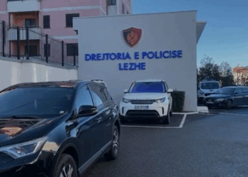 Prezantohej si përfaqësuese e një shoqatë bamirësie dhe merrte kredi, në pranga e reja në Lezhë