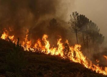 Banorë, zjarrfikës e policë në terren, shuhet zjarri i rrezikshëm në Ksamil