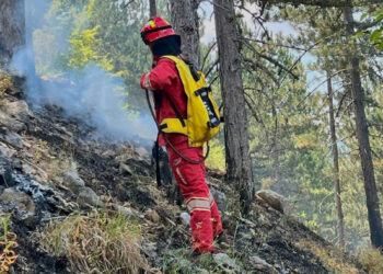 Situata e zjarreve në vend, Ministria e Mbrojtjes: 9 vatra zjarri aktive