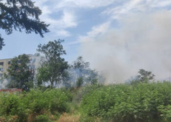 Përfshihet nga flakët një sipërfaqe me shkurre në Laprakë