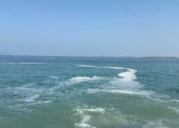 Ndotet vija bregdetare në Vlorë, dyshohet për detergjentë ose vajra kuzhine