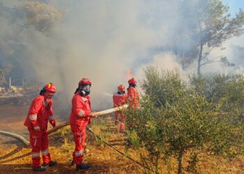 Situata e zjarreve/ Ministria e Mbrojtjes: 26 vatra në 24 orët e fundit