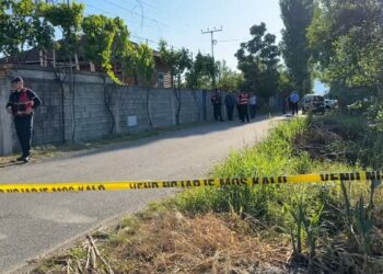 E priti për 1 orë, kamerat zbulojnë lëvizjet e autorit të vrasjes në Lezhë