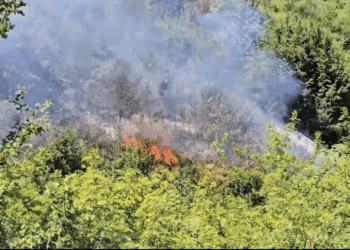 Riaktivizohen vatrat e zjarrit në Darëzezë