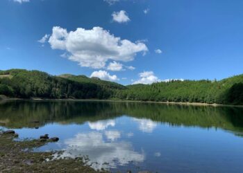 U fut për t’u larë në liqenin e Grizhës, mbytet 38-vjeçari në Shkodër