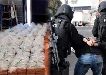 Dërgonin drogë nga Shqipëria në Finlandë/ Zbulohen 11 trafikantët shqiptarë