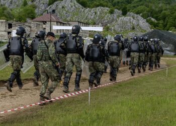 SHBA, Shqipëria dhe Kosova në stërvitje të përbashkët ushtarake në Bizë