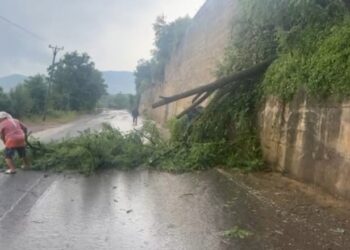 Mot i keq në Dibër, era e fortë rrëzon pemët në rrugë, bllokohet segmenti Sofraçan–ShupenzëP