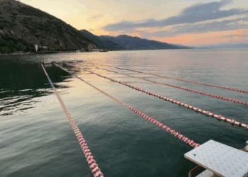 Pogradeci ringjall sportet ujore/ Rikthehet futbolli në ujë dhe maratona “Agron Ruvina”