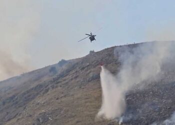 Pas ndërhyrjes nga toka dhe ajri, vihet nën kontroll zjarri në Qeparo