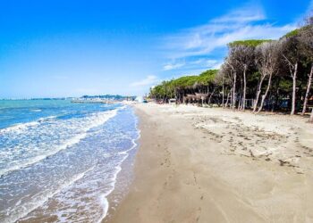 Humb jetën në det turistja çeke në plazhin e Qerretit