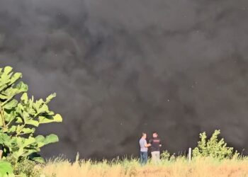 Vazhdon zjarri në landfillin në Elbasan, banorët: Po mbytemi nga era