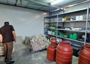 Goditet grupi kriminal në Greqi, në pranga edhe shqiptarë