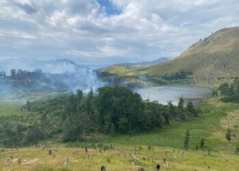 Zjarr në Lurë, flakët rrezikojnë masivin pyjor pranë Liqenit të Luleve
