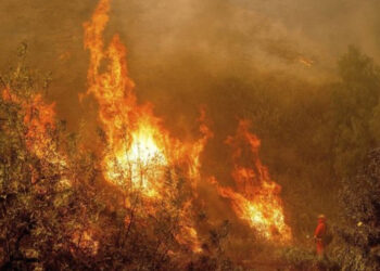 Ministria e Mbrojtjes: Në 24 orët e fundit janë raportuar 18 vatra, 3 ende aktive