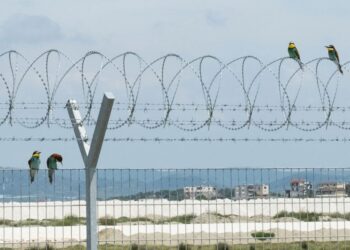 Rezoluta e PE kundër Aeroportit të Vlorës dhe HEC-it në Skavicë: Projekte që rrezikojnë natyrën