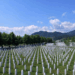 Sot 30 vjet nga masakra e Srebrenicës